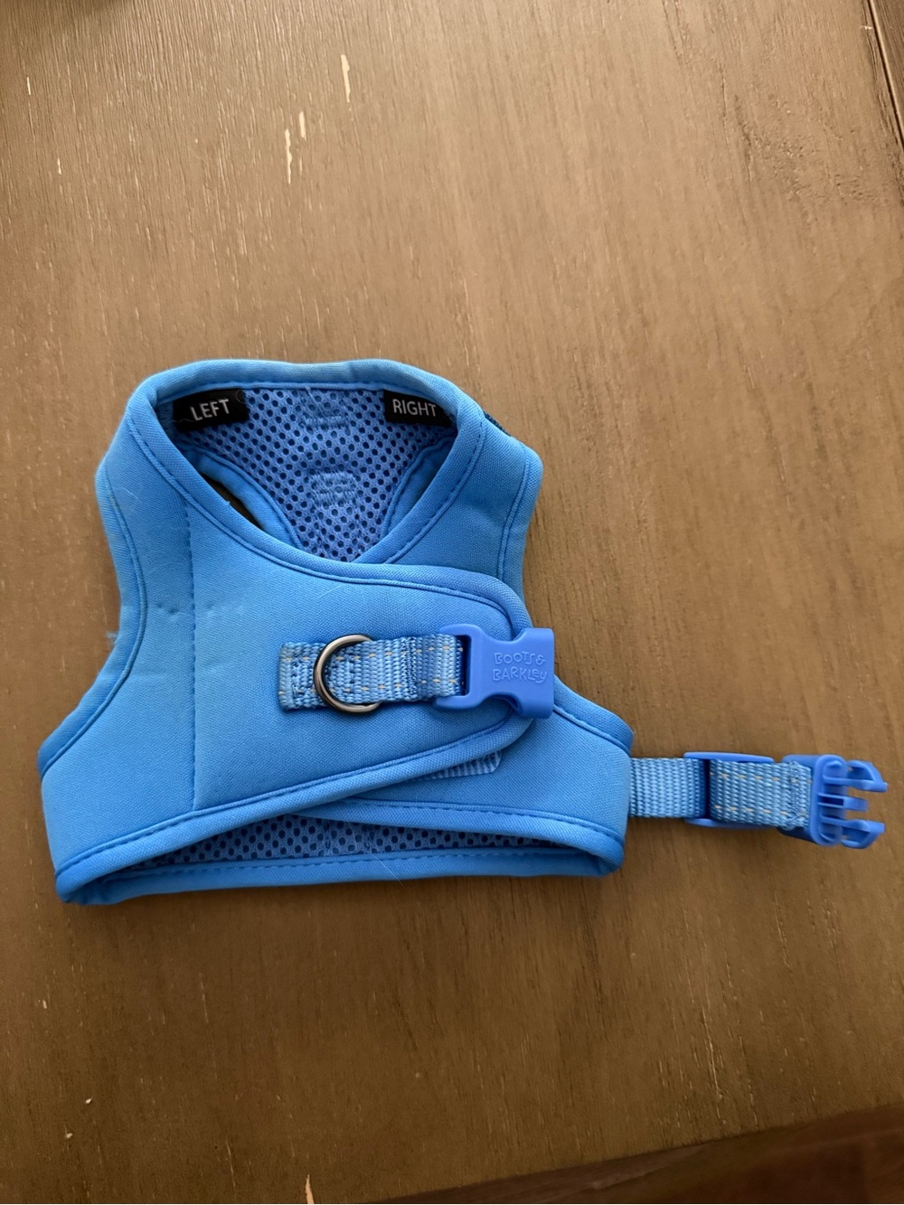 Blue Dog Harness with Neoprene Comfort